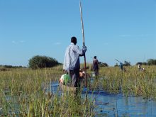 Een mokoro is een tradtionele boot waarmee u de rivieren van de Okavango Delta kunt bevaren