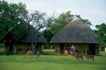 Berg-en-Dal Restcamp in Kruger National Park wordt omringd door graasdieren