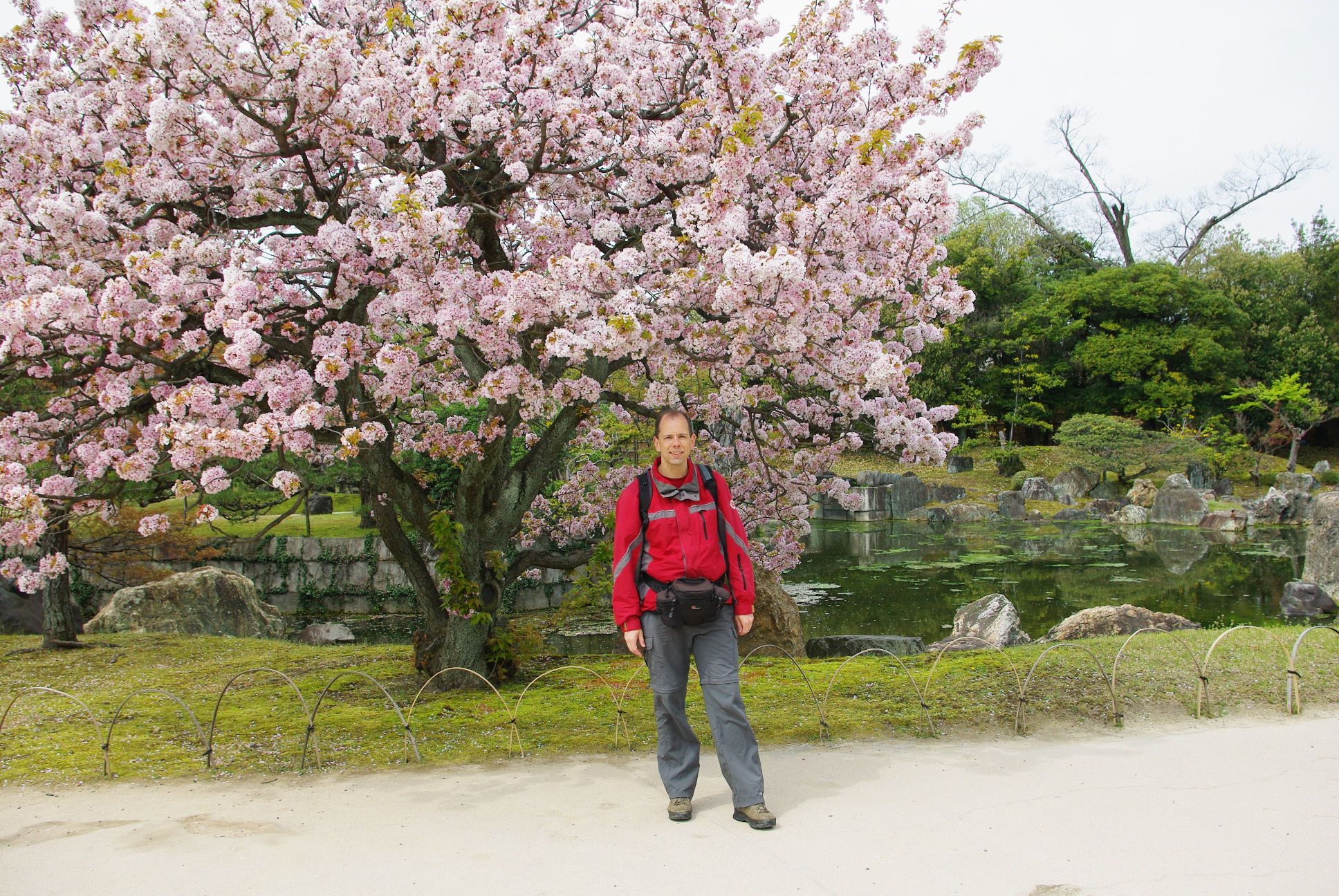 Japan: tempels, snelle treinen en sushi