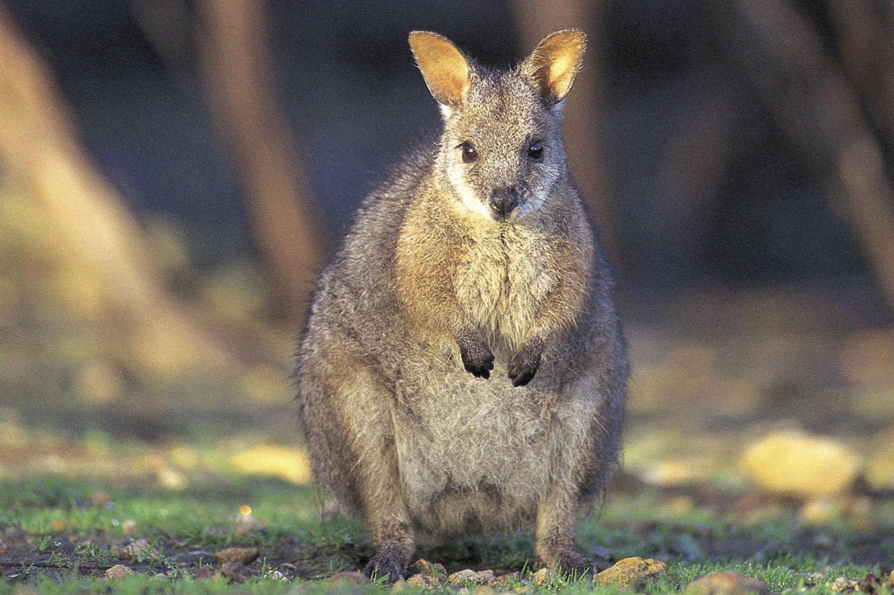 Moeder en dochter op avontuur in Australië