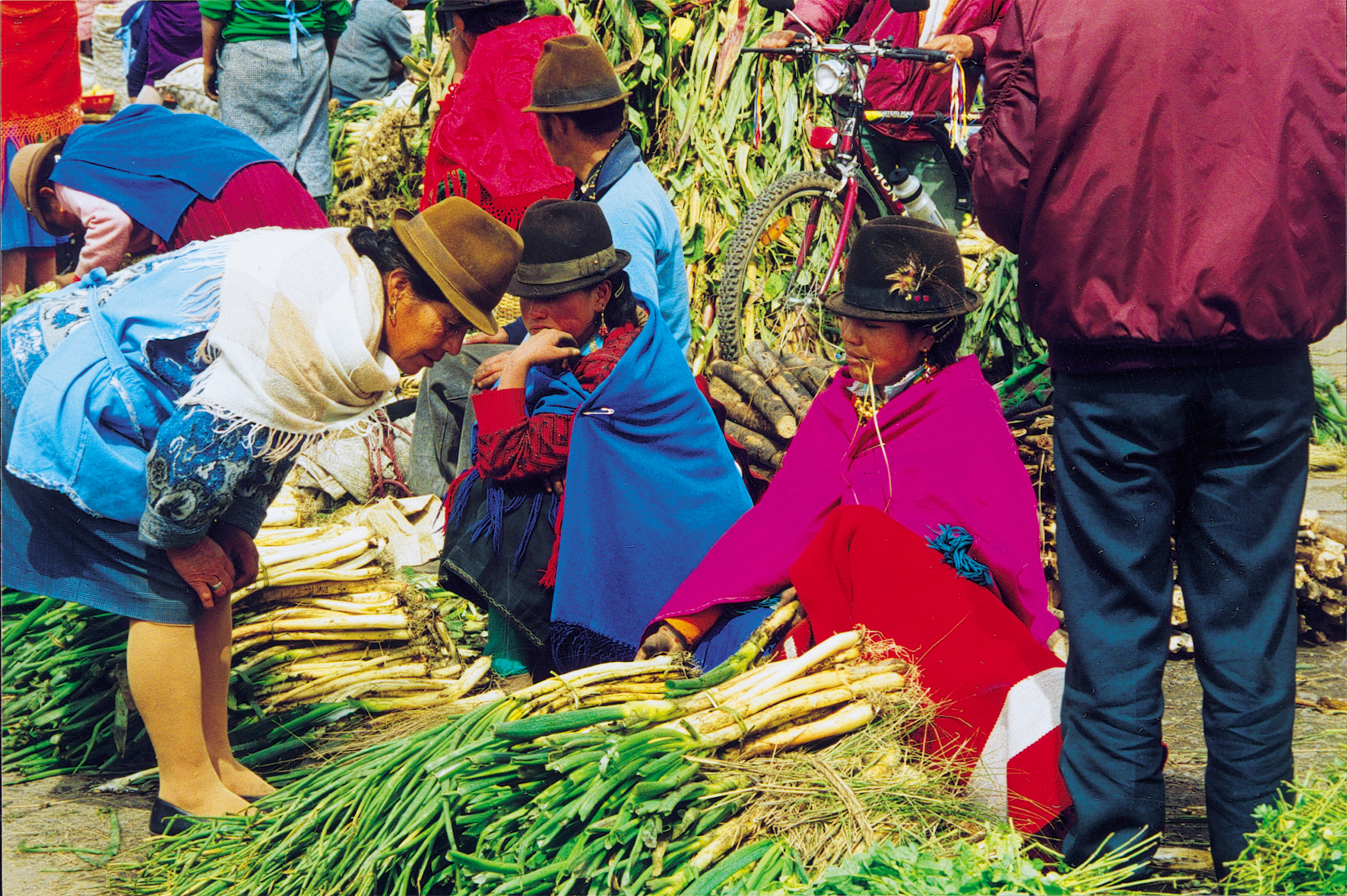 Ecuador: Andes & Galápagos