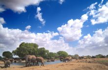 Satao Camp dat gelegen is in Tsavo East National Park heeft een waterhole waar de olifanten graag komen drinken