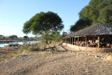 Ruaha River Lodge in Tanzania ligt aan de Great Ruaha rivier en is een ideale uitvalbasis voor safari's