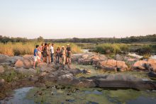 Tijdens de Sefapane game walk gaat u met een ranger te voet opzoek naar dieren