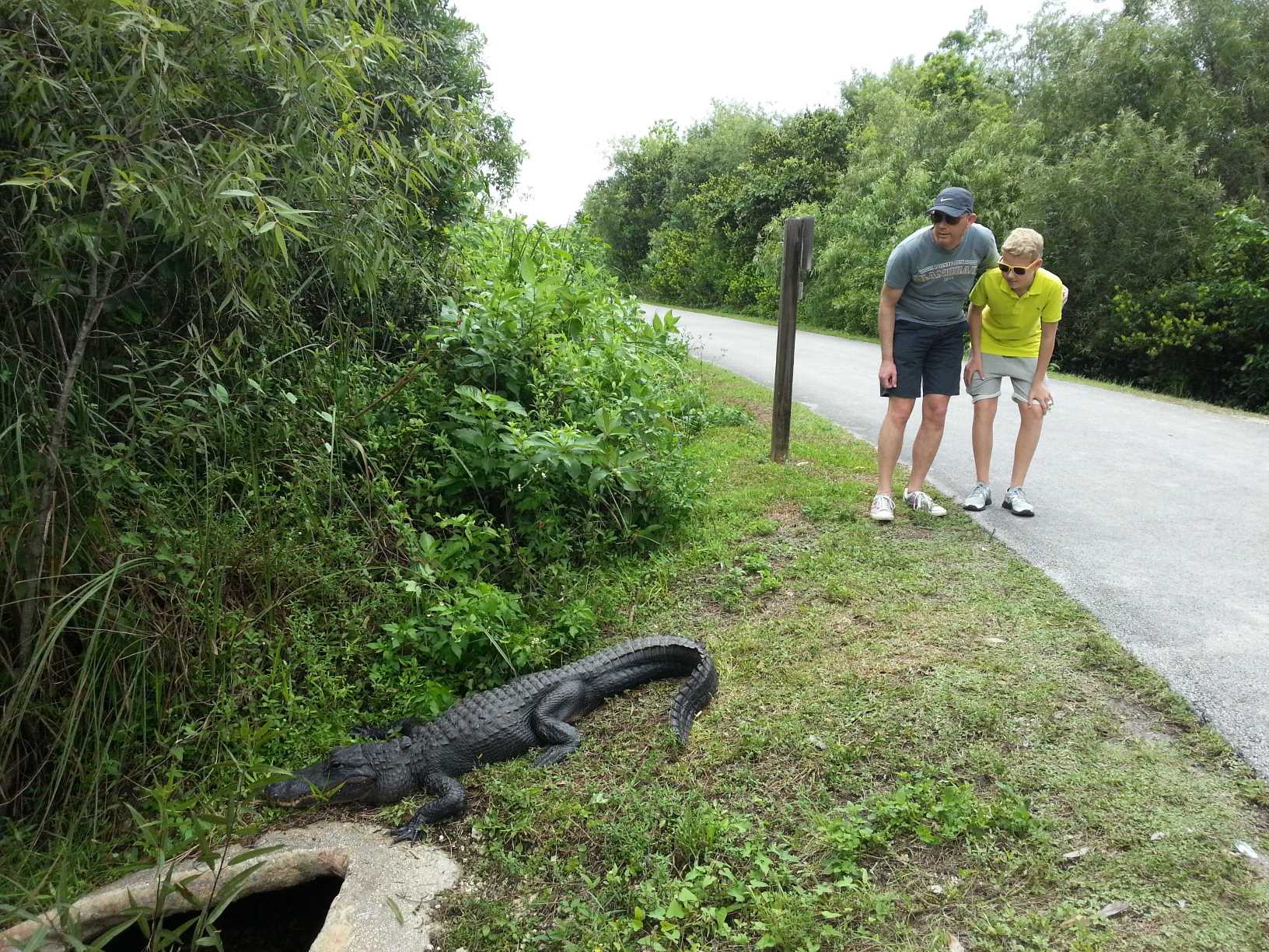 Gezinsvakantie Florida