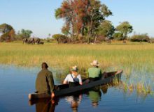 Met een traditionele mokoro vaart u door de Okavango Delta om zo dieren te spotten