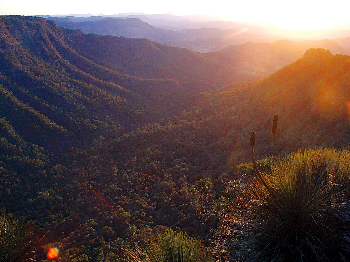 O’Reilly’s Retreat in Lamington National Park