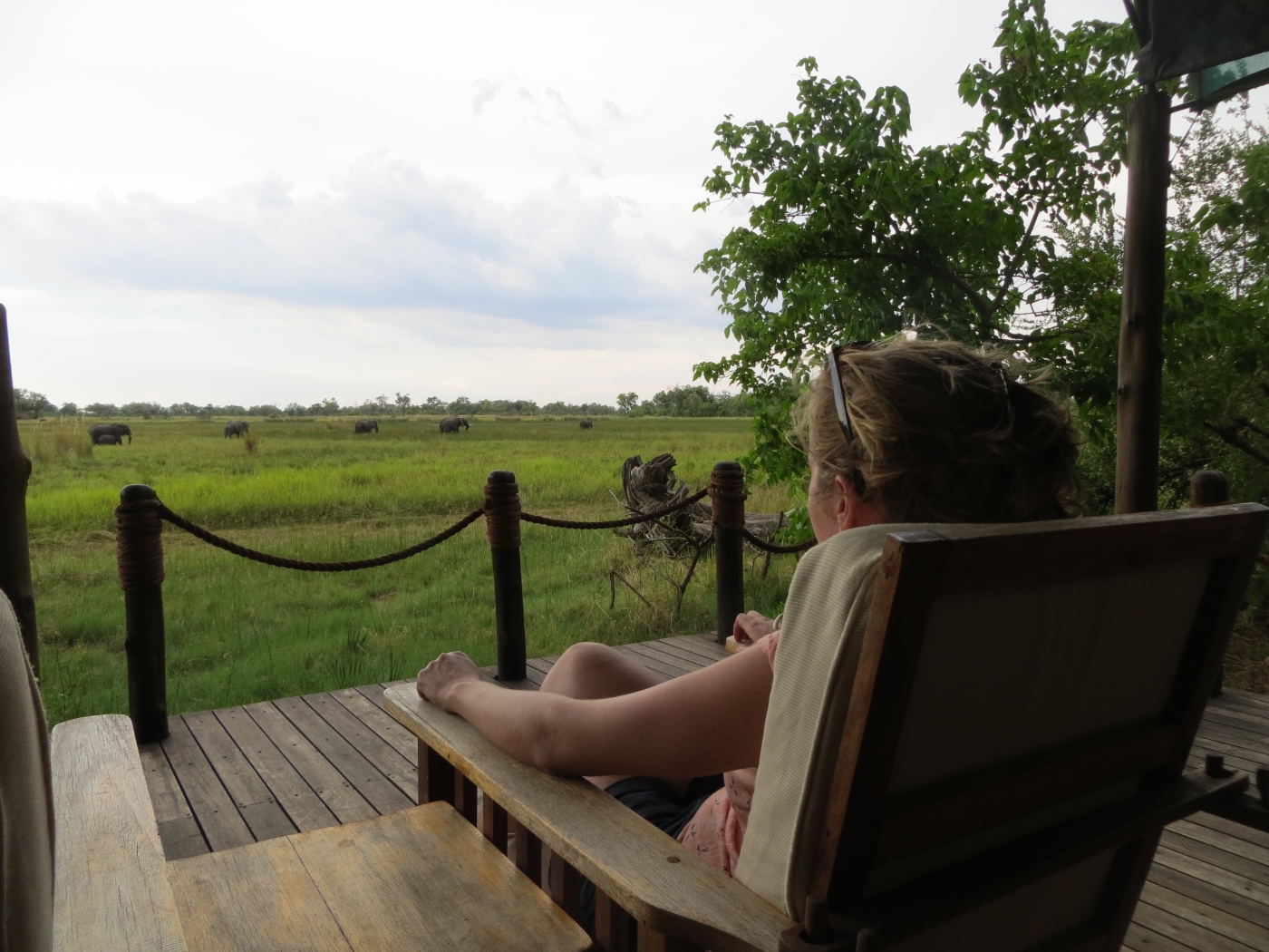 Kennismaking met Botswana