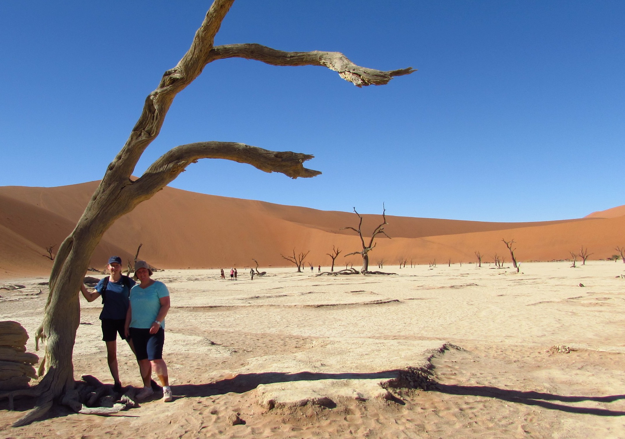 Op avontuur in Namibië