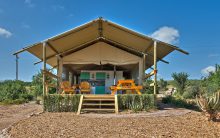 Bij AfriCamps draait het om glamping, u verblijft in een luxe boutique tent