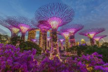 Singapore