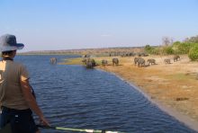 In Chobe Nationaal Park ga je met een boot de rivier op om olifanten te spotten