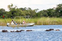 Nijlpaarden spotten tijdens een bootsafari in Moremi Game Reserve in Botswana, in de Okavango Delta