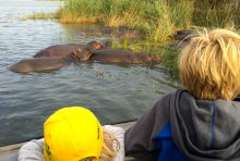 Een bootcruise maken om op zoek te gaan naar nijlpaarden is een ideale excursie voor families