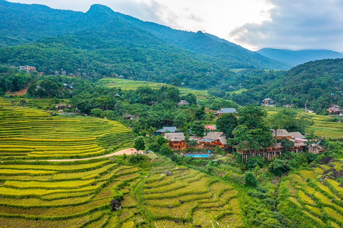 Pu Luong rijstterras